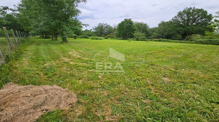 Ma-Cabane - Vente Terrain MOULIN-NEUF, 3853 m²