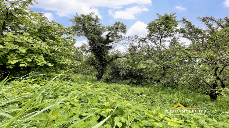 Ma-Cabane - Vente Terrain Mousson, 1356 m²