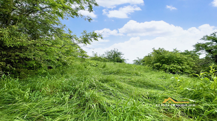 Ma-Cabane - Vente Terrain Mousson, 1356 m²