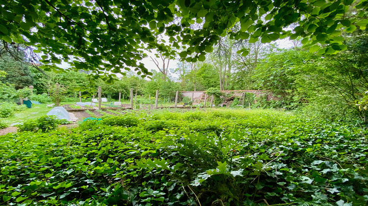 Ma-Cabane - Vente Terrain MOUVAUX, 1172 m²