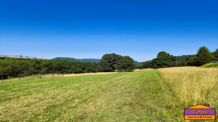 Ma-Cabane - Vente Terrain Moyenmoutier, 3325 m²