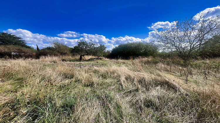 Ma-Cabane - Vente Terrain MOZE-SUR-LOUET, 974 m²
