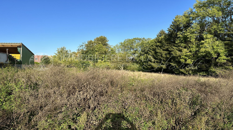 Ma-Cabane - Vente Terrain Muespach, 2875 m²