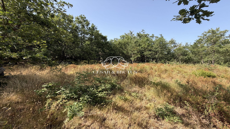 Ma-Cabane - Vente Terrain Murato, 974 m²