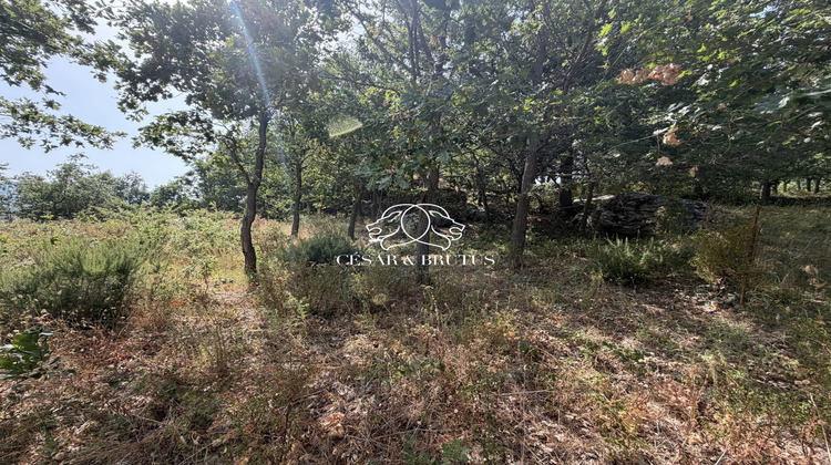 Ma-Cabane - Vente Terrain Murato, 974 m²