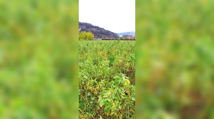 Ma-Cabane - Vente Terrain Murs-et-Gélignieux, 1200 m²