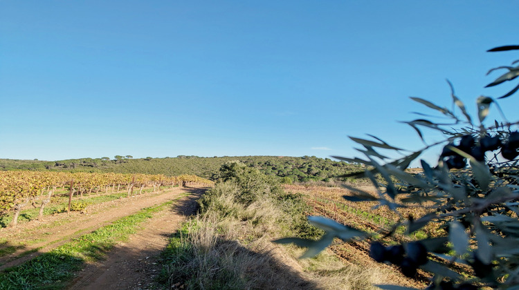 Ma-Cabane - Vente Terrain Murviel-lès-Béziers, 4950 m²