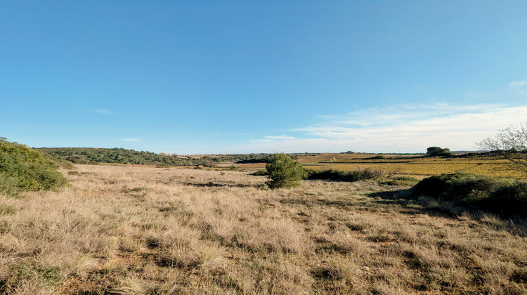 Ma-Cabane - Vente Terrain Murviel-lès-Béziers, 4950 m²