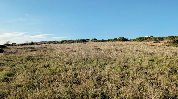 Ma-Cabane - Vente Terrain Murviel-lès-Béziers, 4950 m²