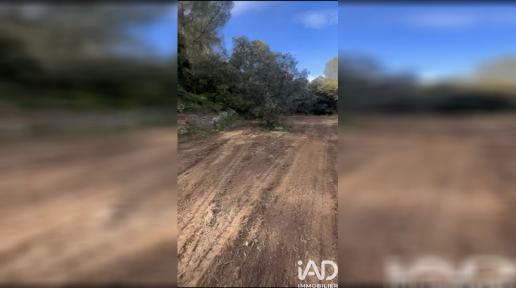 Ma-Cabane - Vente Terrain Murviel-Lès-Montpellier, 2778 m²