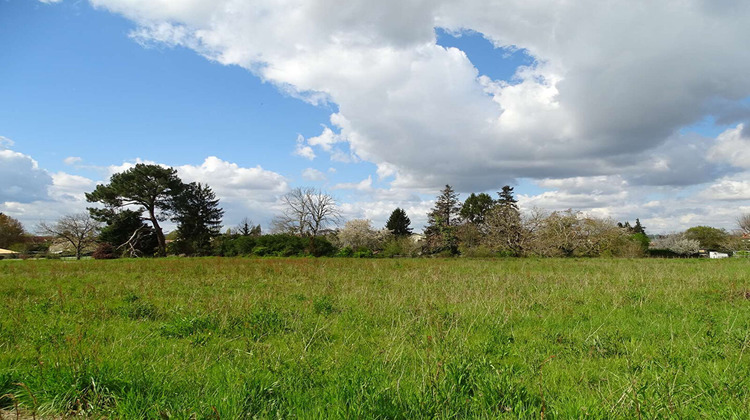 Ma-Cabane - Vente Terrain MUSSIDAN, 4779 m²