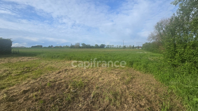 Ma-Cabane - Vente Terrain NACHAMPS, 4397 m²