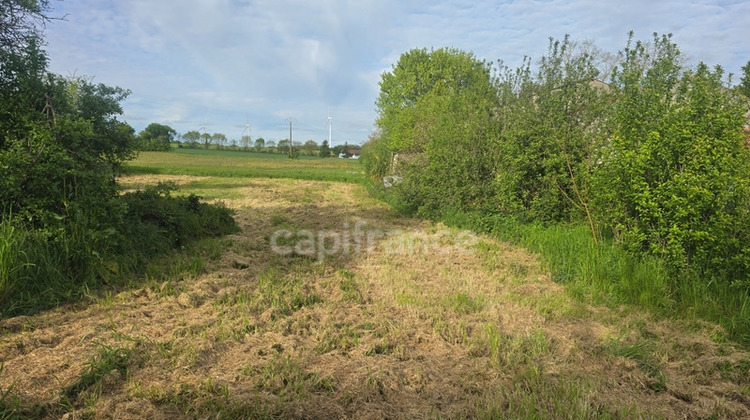 Ma-Cabane - Vente Terrain NACHAMPS, 4397 m²