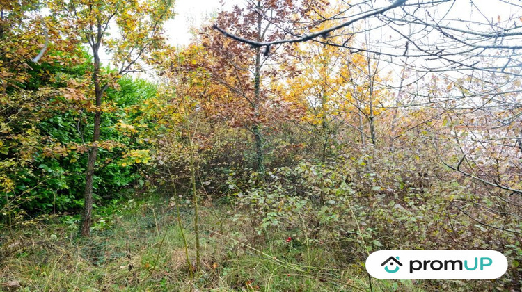 Ma-Cabane - Vente Terrain Nailloux, 5457 m²