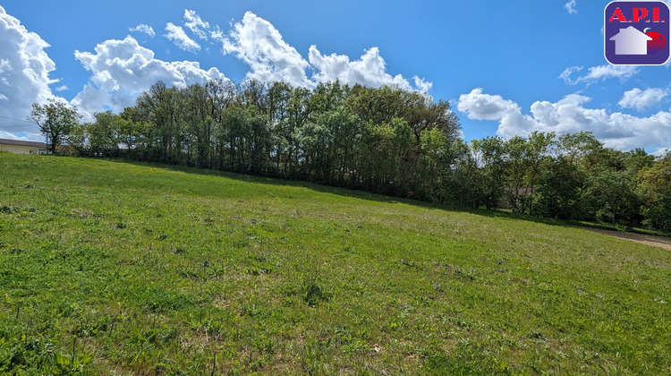 Ma-Cabane - Vente Terrain NAILLOUX, 788 m²