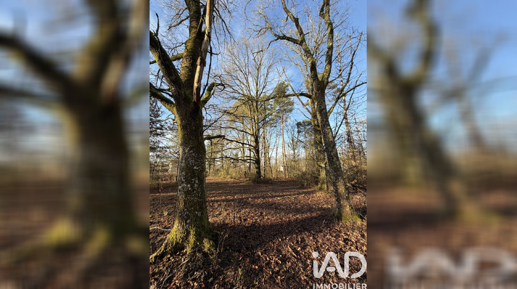 Ma-Cabane - Vente Terrain Nançay, 9422 m²