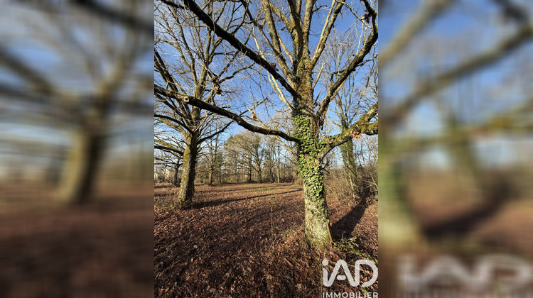 Ma-Cabane - Vente Terrain Nançay, 9422 m²