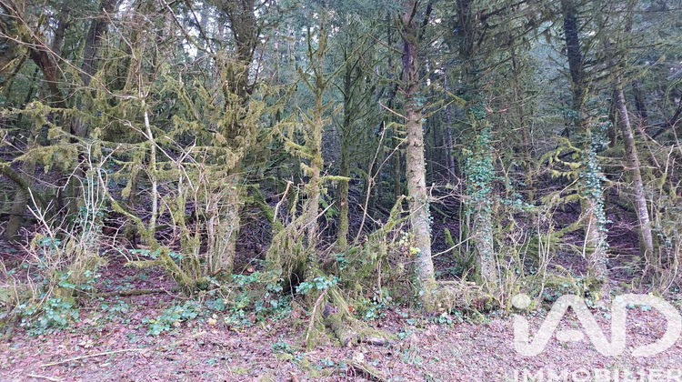 Ma-Cabane - Vente Terrain Nancuise, 6262 m²