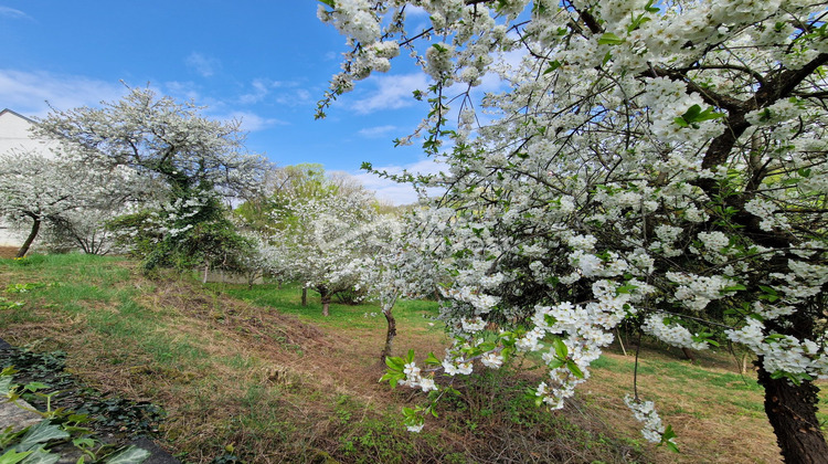 Ma-Cabane - Vente Terrain Nancy, 2613 m²