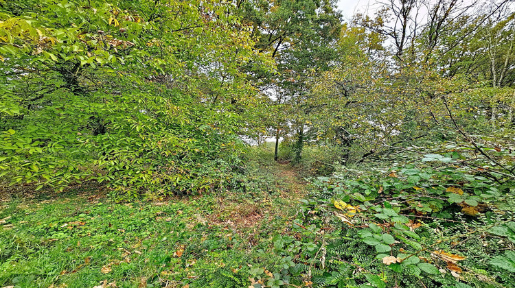 Ma-Cabane - Vente Terrain Nangis, 1435 m²