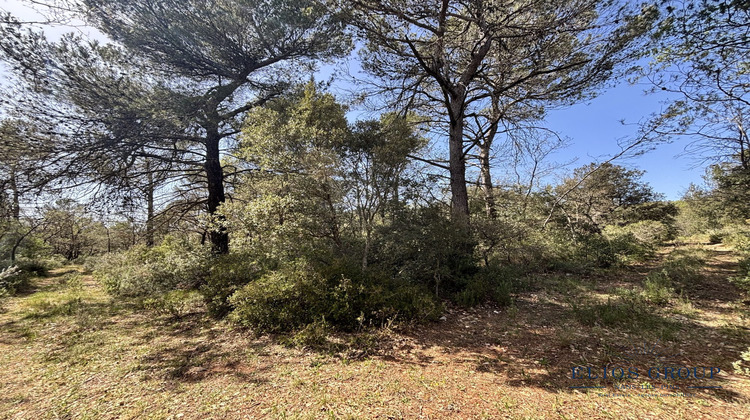 Ma-Cabane - Vente Terrain Nans-les-Pins, 2516 m²