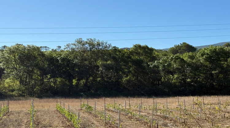 Ma-Cabane - Vente Terrain Nans-les-Pins, 2570 m²