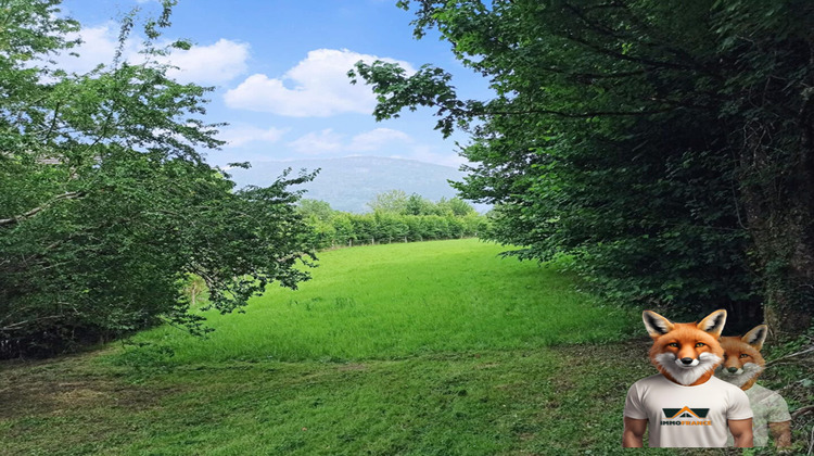 Ma-Cabane - Vente Terrain Nans-sous-Sainte-Anne, 2550 m²