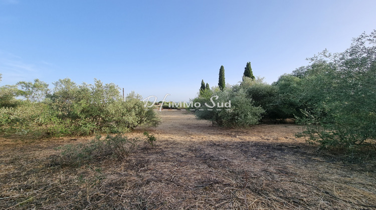 Ma-Cabane - Vente Terrain Narbonne, 3700 m²