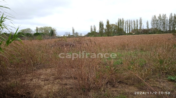 Ma-Cabane - Vente Terrain NARBONNE, 6250 m²