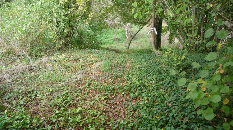Ma-Cabane - Vente Terrain Naujan-Et-Postiac, 4000 m²