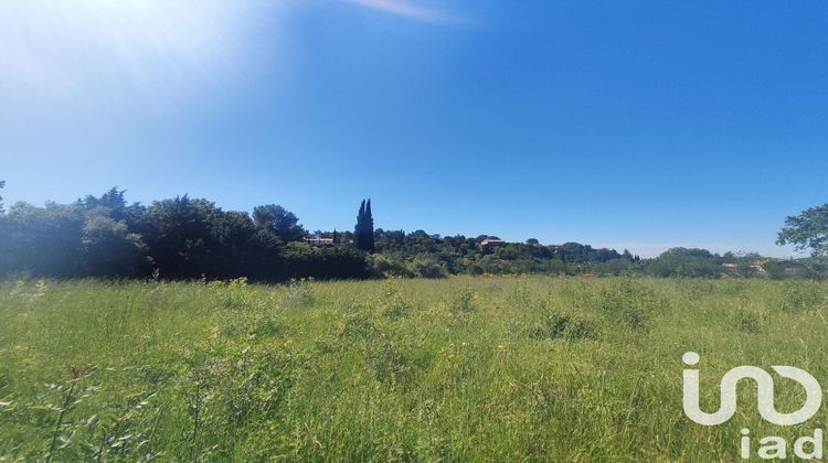 Ma-Cabane - Vente Terrain Neffiès, 450 m²