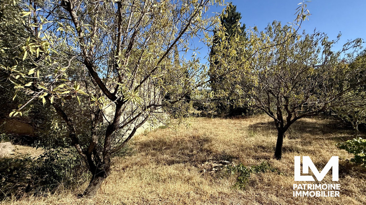Ma-Cabane - Vente Terrain Neffiès, 971 m²