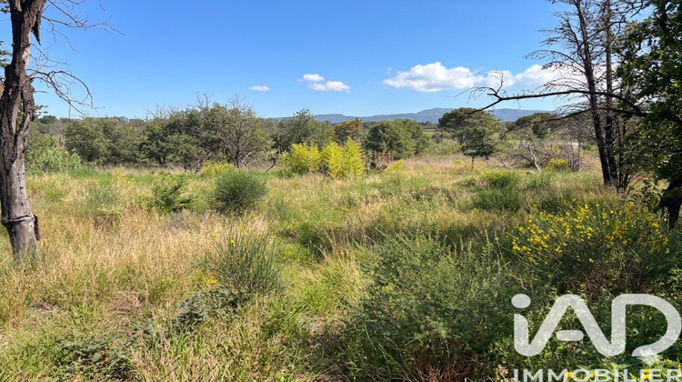 Ma-Cabane - Vente Terrain Nefiach, 1590 m²