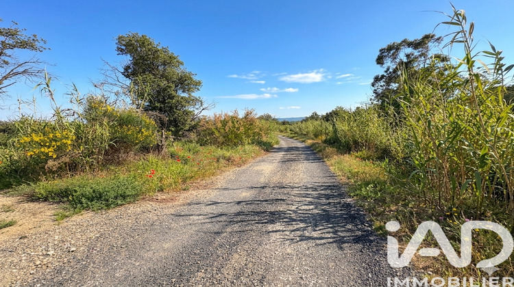 Ma-Cabane - Vente Terrain Nefiach, 1590 m²