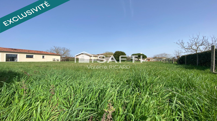 Ma-Cabane - Vente Terrain Negrepelisse, 775 m²