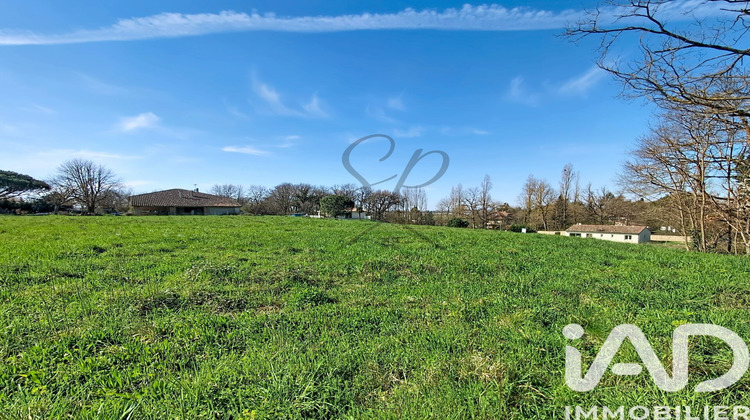 Ma-Cabane - Vente Terrain Nègrepelisse, 3100 m²