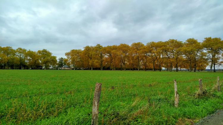 Ma-Cabane - Vente Terrain Nervieux, 1116 m²