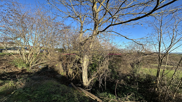 Ma-Cabane - Vente Terrain Neulise, 605 m²