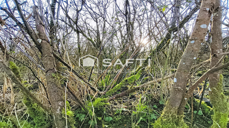 Ma-Cabane - Vente Terrain Neuves-Maisons, 880 m²