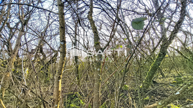 Ma-Cabane - Vente Terrain Neuves-Maisons, 880 m²