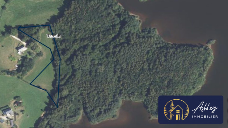 Ma-Cabane - Vente Terrain Neuvic, 6400 m²