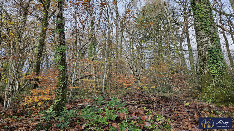 Ma-Cabane - Vente Terrain Neuvic, 7950 m²