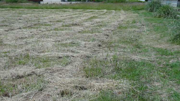 Ma-Cabane - Vente Terrain NEUVIC, 1674 m²