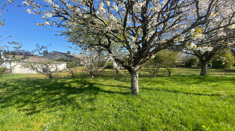 Ma-Cabane - Vente Terrain NEUVILLE-AUX-BOIS, 528 m²