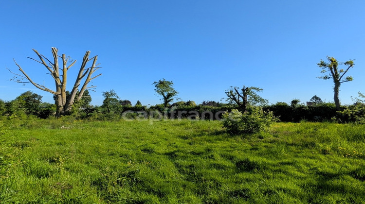 Ma-Cabane - Vente Terrain NEUVILLE EN FERRAIN, 925 m²