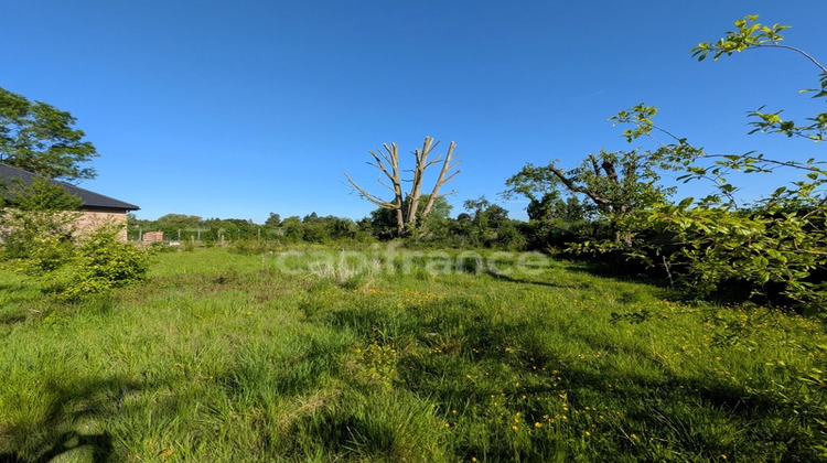 Ma-Cabane - Vente Terrain NEUVILLE EN FERRAIN, 925 m²