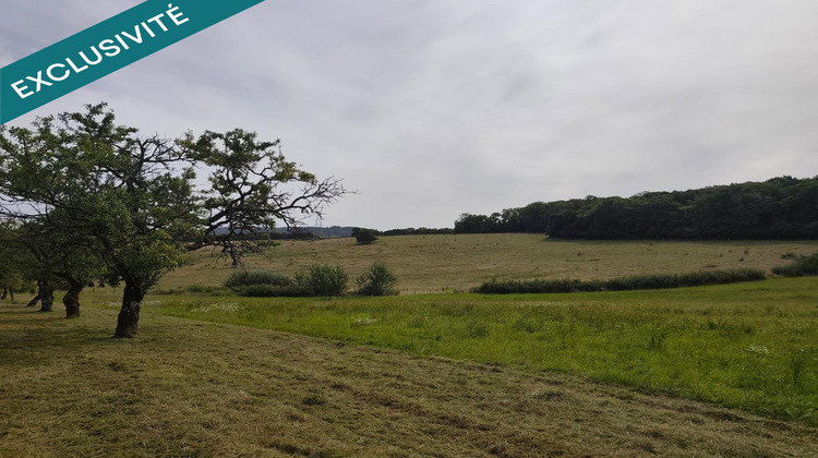 Ma-Cabane - Vente Terrain Neuviller-sur-Moselle, 3620 m²