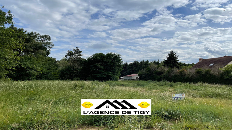 Ma-Cabane - Vente Terrain NEUVY-EN-SULLIAS, 13100 m²
