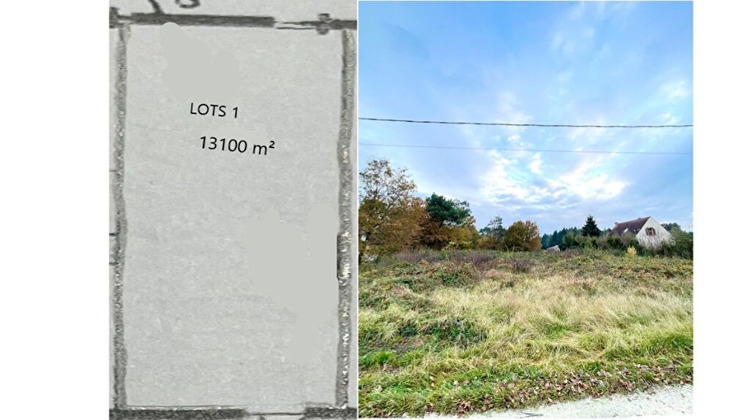 Ma-Cabane - Vente Terrain NEUVY-EN-SULLIAS, 13100 m²