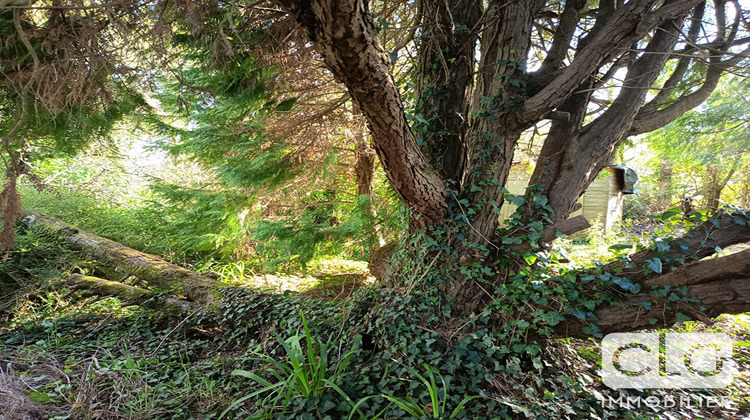 Ma-Cabane - Vente Terrain NEVEZ, 800 m²